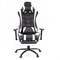 Игровое кресло Lotus S1 Черный, белый - фото 9146